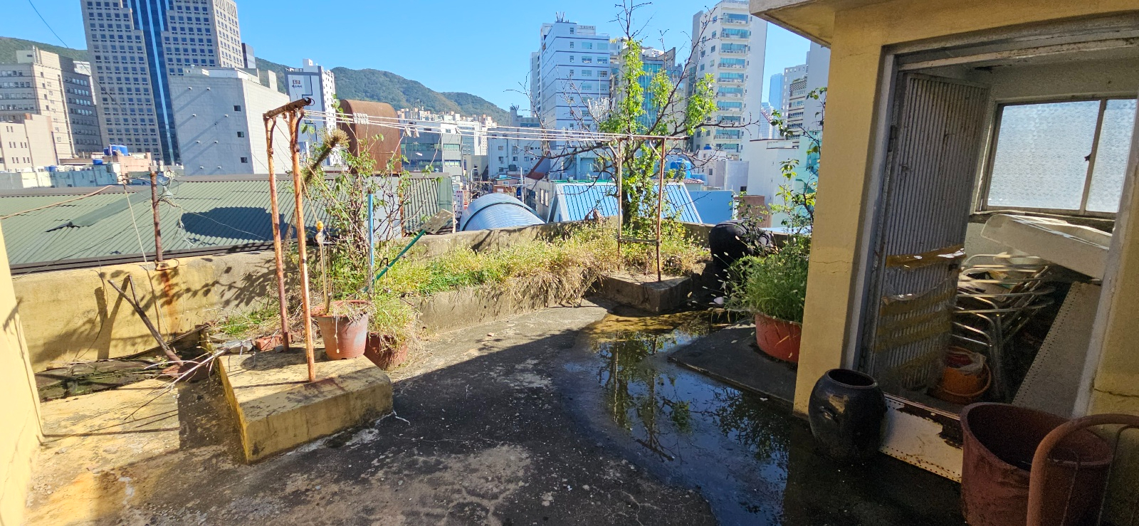 부산광역시 부산진구 부전동 상가 썸네일 6